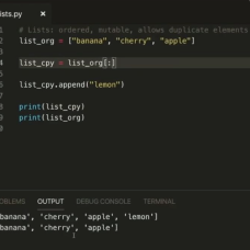 Intermediate Python